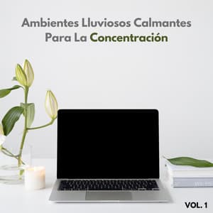 Ambientes Lluviosos Calmantes Para La Concentración Vol. 1 - Escuela de Lluvia