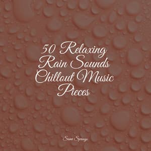 50 Relaxing Rain Sounds Chillout Music Pieces - Nature's Symphony