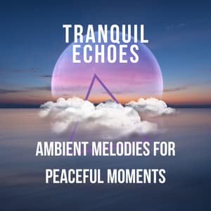 Tranquil Echoes: Ambient Melodies for Peaceful Moments - Peaceful Palace
