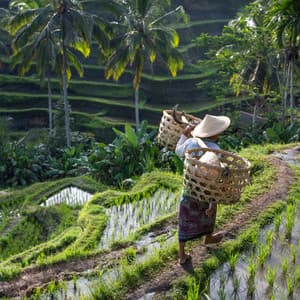 Productive Work Oasis: Rain on the Window Soundscape - Berlin Rain