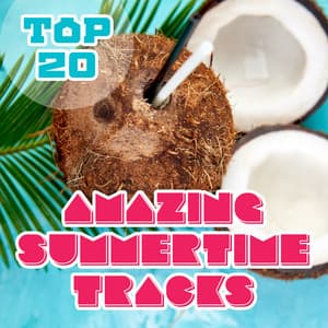 Top 20 Amazing Summertime Tracks - Endless New Age Music Creator
