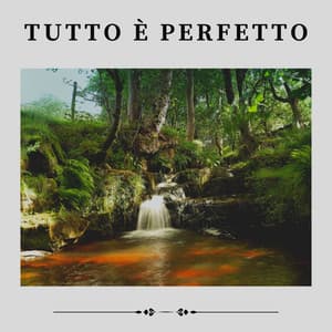 Tutto è Perfetto - Suoni Naturali
