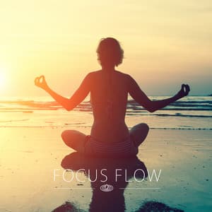 Focus Flow - Binaural Beats Para Dormir Profundamente