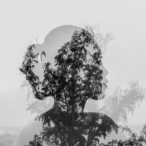 Feel the Peace in Your Mind - Concentrational Brain