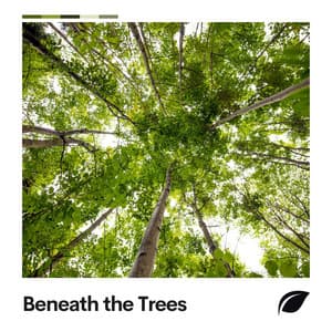Beneath the Trees - Soothing Nature Sounds
