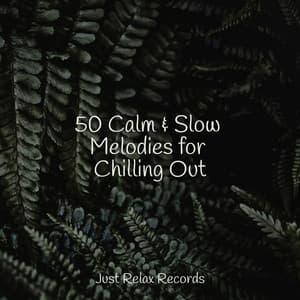 50 Calm & Slow Melodies for Chilling Out - Música Zen Relaxante