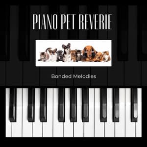 Piano Pet Reverie: Bonded Melodies - Deep Relax Piano