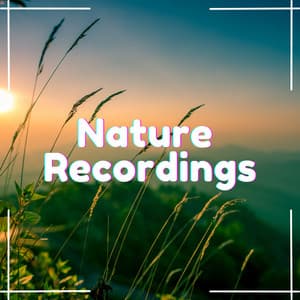 Shades of Green - Natural Sample Makers