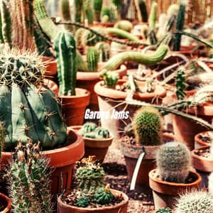 Garden Jams - Afternoon Jazz