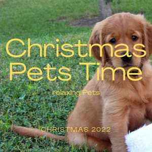 A Christmas Pets Time - Music for Kittens