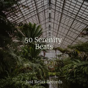 50 Serenity Beats - Musica Relajante