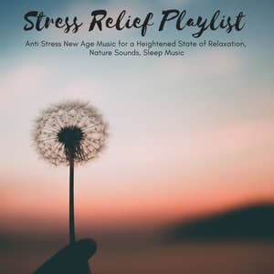 Stress Relief Playlist: Anti Stress New Age Music for a Heightened State of Relaxation, Nature Sounds, Sleep Music - Isabella Moon