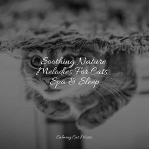 Soothing Nature Melodies For Cats| Spa & Sleep - Cat Music Dreams