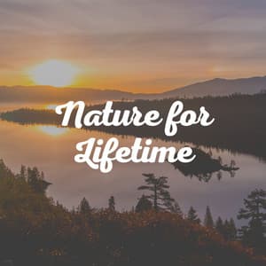 Nature for Lifetime - Sounds of Nature White Noise Sound Effects