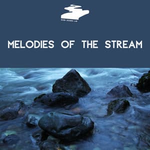 Melodies of the Stream - River Sounds Lab