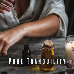 Pure Tranquility: Relaxing Sounds for a Blissful Spa Retreat - Relaxing Chill Out Music