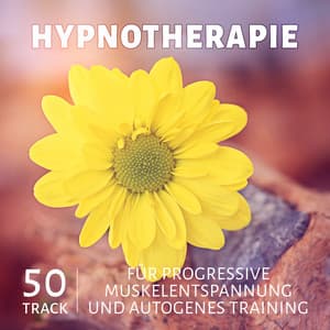 Hypnotherapie: 50 track für progressive Muskelentspannung und Autogenes Training, Meditationsmusik mit Meeresrauschen und Entspannungsmusik, Yoga Musik - Autogenes Training Academy