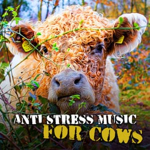 Anti Stress Music for Cows – Relaxing Music Therapy, Piano Reduces Stress, Inner Peace, Happy Animal - Relaxing Music Therapy