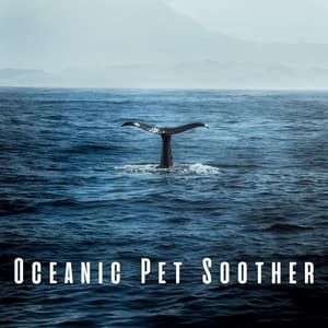 Oceanic Pet Soother: Gentle Insects and Chill Music for Serenity - The Ocean Waves Sounds