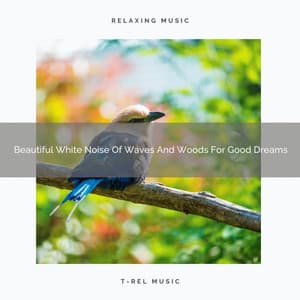 Beautiful White Noise Of Waves And Woods For Good Dreams - The Noise Project