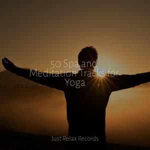 50 Spa and Meditation Tracks for Yoga - Study Hard