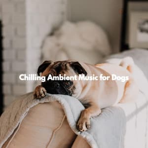 Chilling Ambient Music for Dogs - Calming Jazz For Dogs