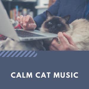Calm Cat Music - Cat Music