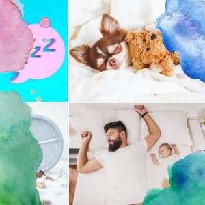 Bgm for Sleeping Well - Wellness