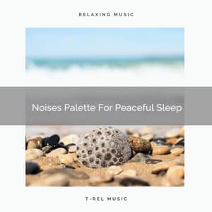 Noises Palette For Peaceful Sleep - Sleep Noise / Sleepy Noise