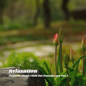 Relaxation: Ambient Music Chill Out Soundscape Vol. 1 - Chill Out Dinner Jazz