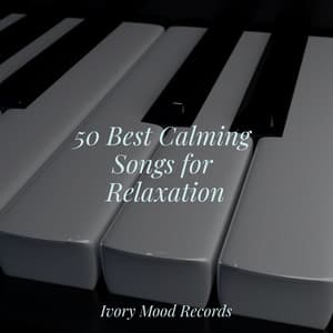50 Best Calming Songs for Relaxation - Ivory Mood