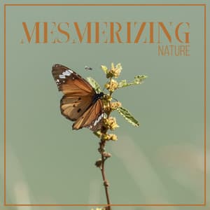 Mesmerizing Nature - Stay Close to Nature Feel Amazing Relaxation with New Age Music 2021 - Nature Sounds Universe