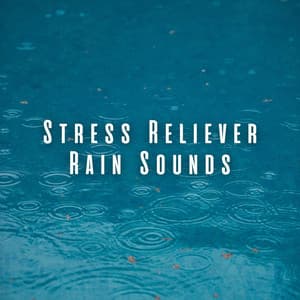 Stress Reliever Rain Sounds - Thunder Storms & Rain Sounds