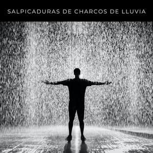 Salpicaduras De Charcos De Lluvia - Fabricantes de lluvia suave