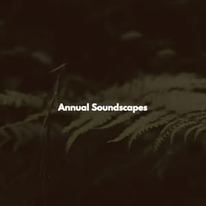 Annual Soundscapes - Música de Trabajo Retro