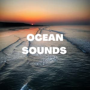 Ocean Sounds - Ocean Sea Waves