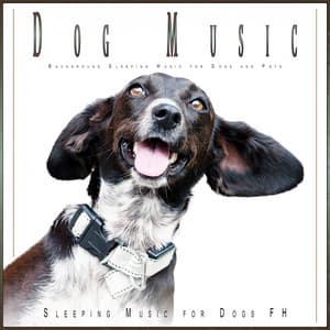 Dog Music: Background Sleeping Music for Dogs and Pets - Sleeping Music for Dogs FH