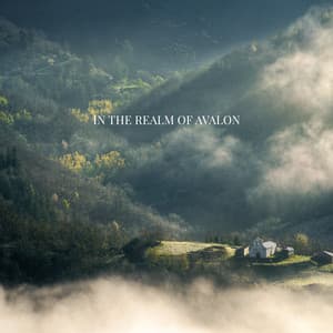 In the Realm of Avalon - Catherine Green