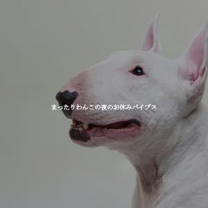 まったりわんこの夜のお休みバイブス - Frühstück Jazz Playlist