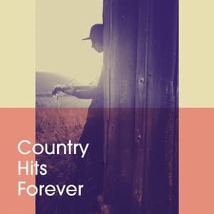Country Hits Forever - Country Rock Party