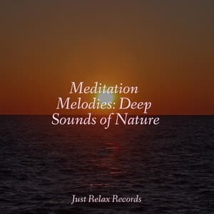 Meditation Melodies: Deep Sounds of Nature - Exam Study Classical Music