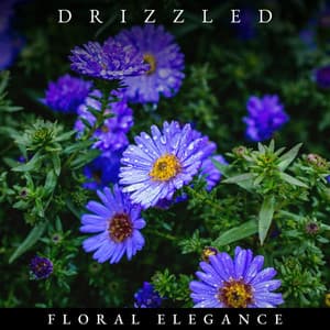 Drizzled Floral Elegance - Rainy Dreaming