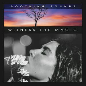 Witness the Magic - Soothing Sounds