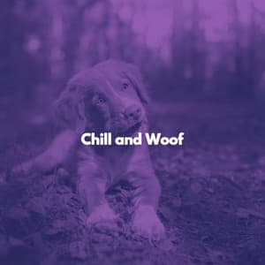 Chill and Woof - Classy Lounge Playlist