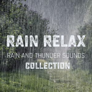 Rain and Thunder Sounds Collection - Rain relax