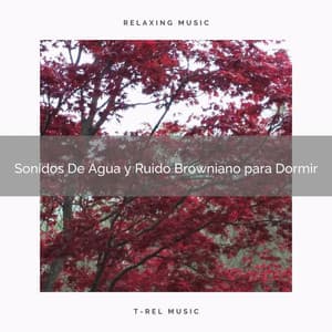 Sonidos De Agua y Ruido Browniano para Dormir - Ruido Blanco Para Estudiar