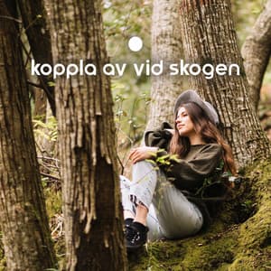 Koppla av vid Skogen: Lugnande ljud Från Naturen och Fåglar - Avslappning ljud klubb