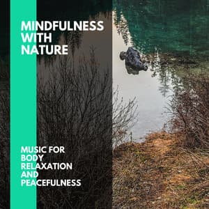 Mindfulness With Nature - Music for Body Relaxation and Peacefulness - Incredible Oceans