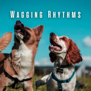 Wagging Rhythms: Ambient Music for Playful Pups - Source Vibrations