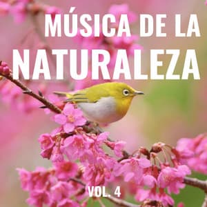 1 Música de la Naturaleza vol. 4 - Pajaros Exoticos